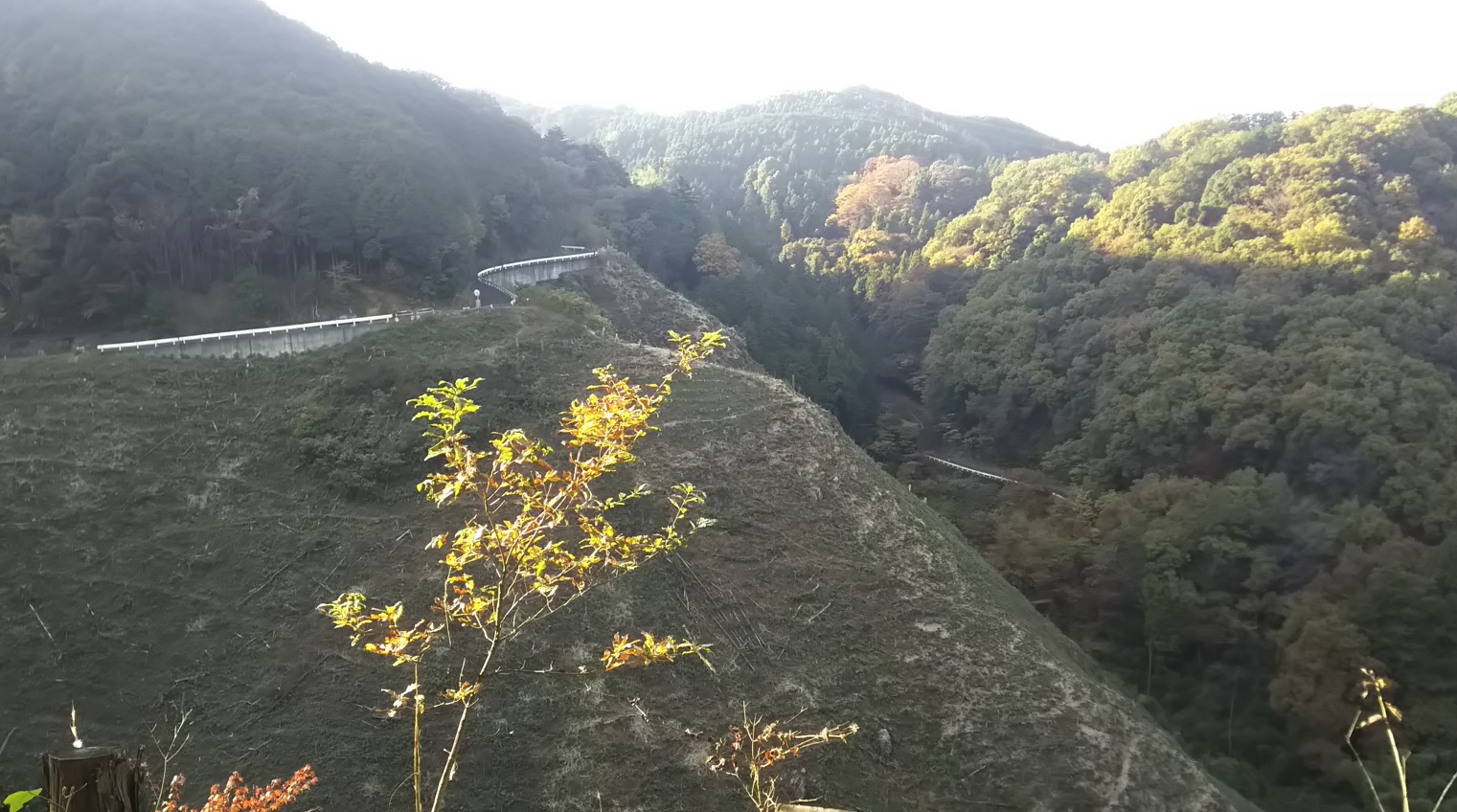 物見山から宿谷に降りる途中のヤセオネ峠からの眺望_2021年11月19日15時頃 気温15度